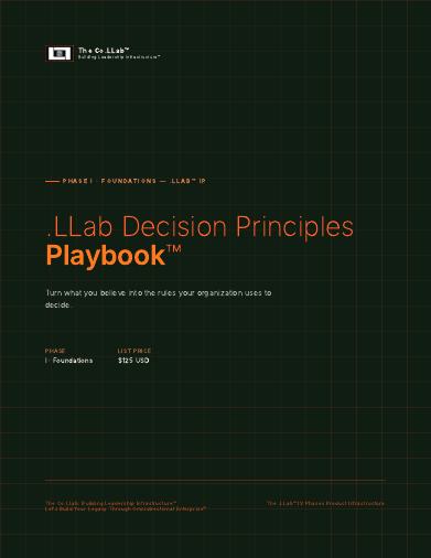 .LLab Decision Principles Playbook™ cover
