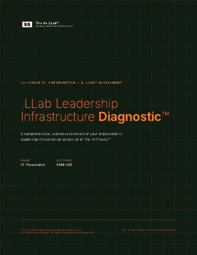 .LLab Leadership Infrastructure Diagnostic™ cover