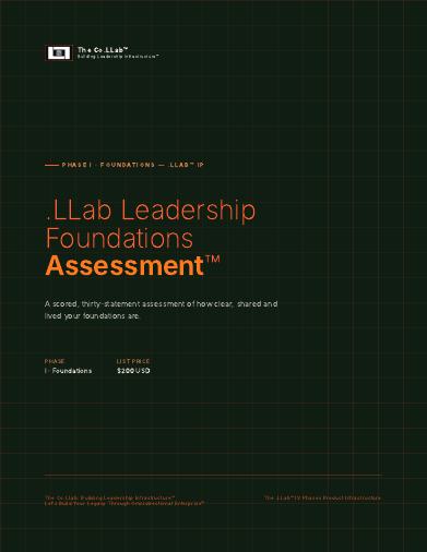 .LLab Leadership Foundations Assessment™ cover
