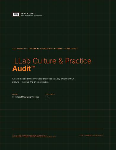 .LLab Culture & Practice Audit™ cover