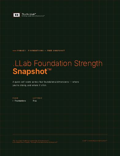 .LLab Foundation Strength Snapshot™ cover